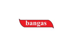 Bangas