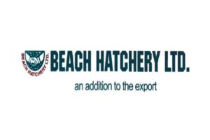 Beach Hatchery