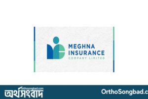 Meghna Insurance