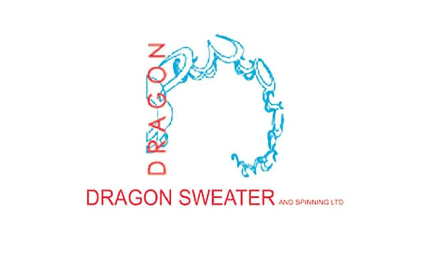 Dragon Sweater