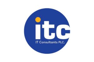 IT Consultant