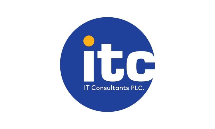 IT Consultant