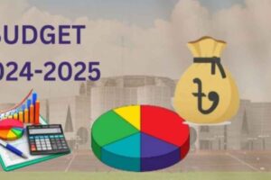 budget ict sector