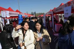 china unemployment